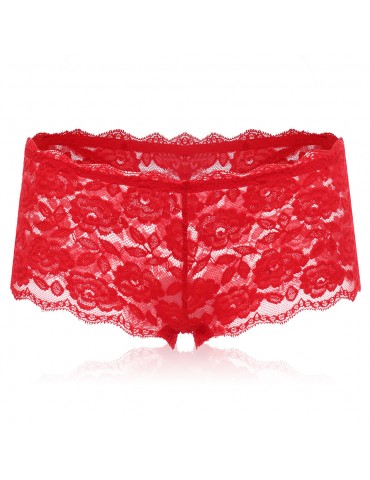 Sexy See Through Lace Embroidered Hollow Low Rise Panties